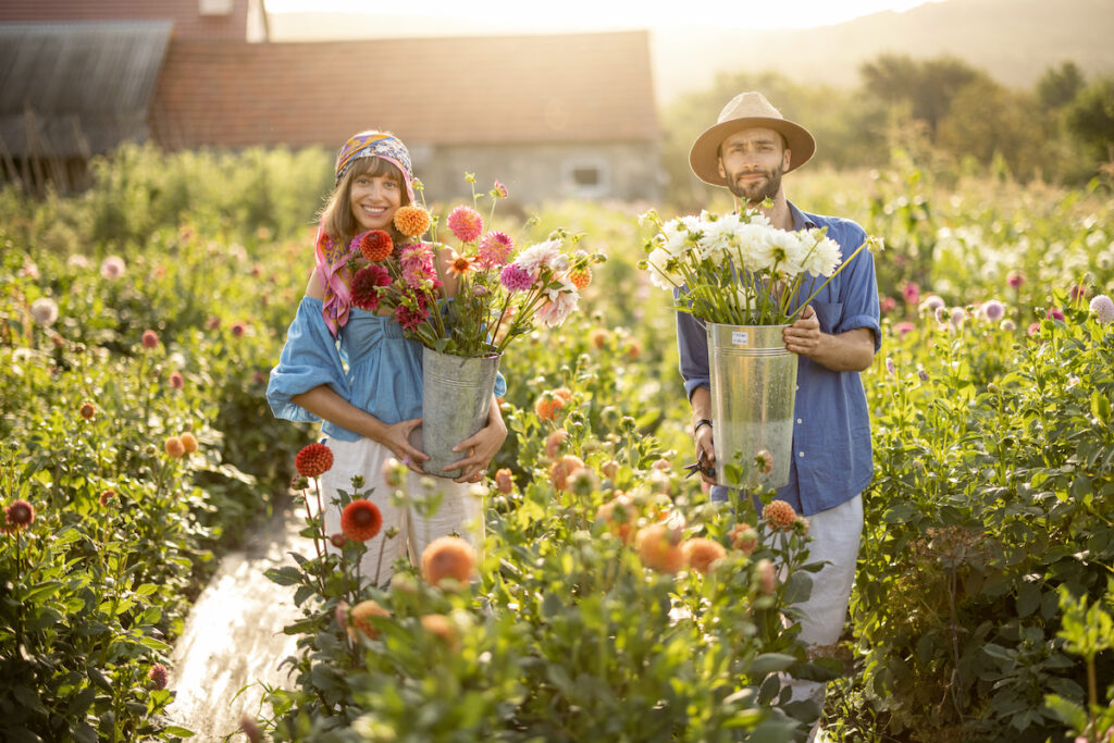 Voordelen Langer daglicht voor bloemen en planten in de zomer